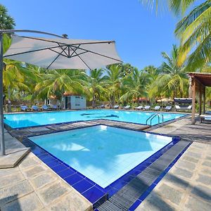 Double Room Pool View